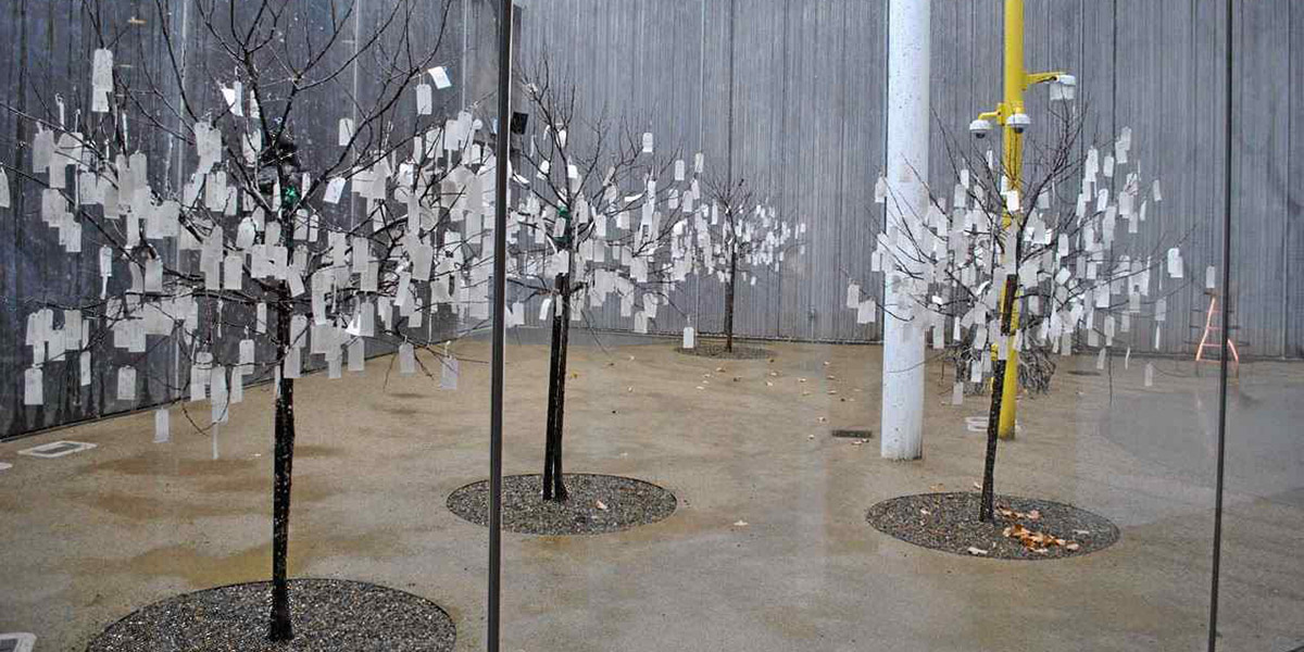 Wish Trees at UCD’s new Shrem Museum